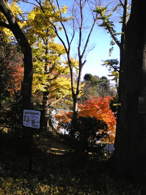 SBSH0003.jpg