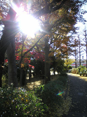 hatunegaoka.jpg
