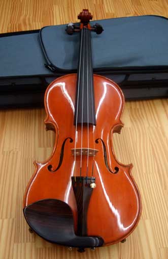 violin01.jpg